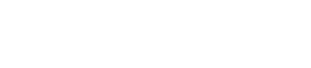 Icon World Realty